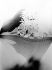CCRN_OTM 41