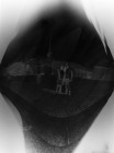 CCRN_OTM 3