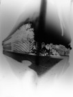 CCRN_OTM 39