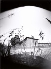 006b