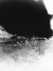 fnel23 15