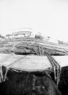 fnel23 10b