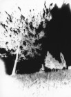 fnel23 18