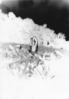 fnel23 29