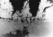 fnel23 17
