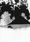 fnel23 20