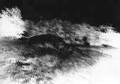 fnel23 14