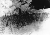 fnel23 6