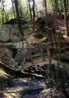 3_berdorf_LD