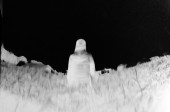 fnel25_06