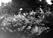 fnel25_24b