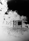 fnel25_25