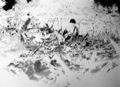 fnel25_24