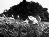 fnel25_02b