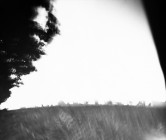 fnel25_04b