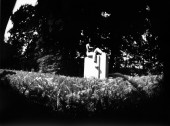 schifflangeb