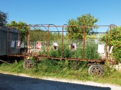 bulgaria_36