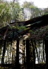 1_berdorf_LD