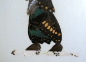 56_DSC_1041