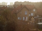 51_DSC_0703