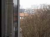 11_DSC_0516
