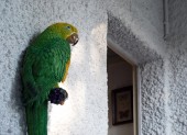 03_DSC_9976