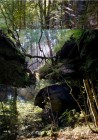 2_berdorf_LD