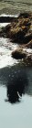 Fragment.5