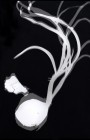 oignogramme.4