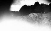 lorraine 4b