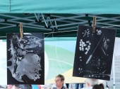 Naturparkfest_0208_17
