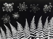 Naturparkfest_0208_19