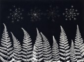 Naturparkfest_0208_20