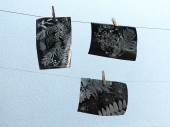 Naturparkfest_0208_08