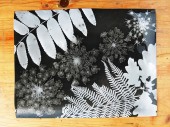 Naturparkfest_0208_07