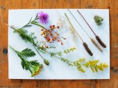 Naturparkfest_0208_21