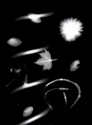 roulot'ographe_kufa0812_rayogramme2
