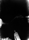 roulot'ographe_kufa0812_cameraObscura4