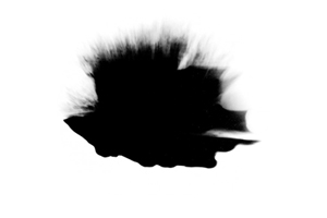prisma formation