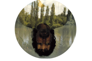 Roulot'ographies, 2010