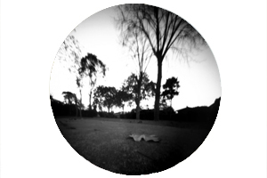 Roulot'ographe